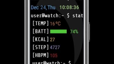 Terminal windows Watch Face