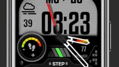 Electro LCD hybrid watch face
