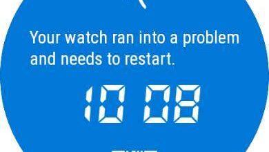 Your watch ran into a Problem watch face