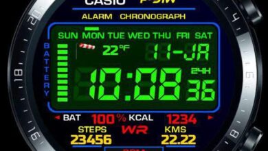 Casio ported LCD watch face theme