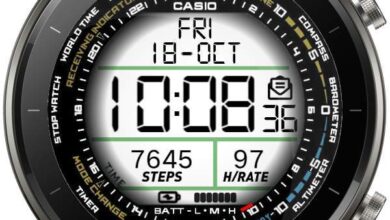 Casio LCD watch face theme