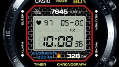 Casio LCD digital watch face theme
