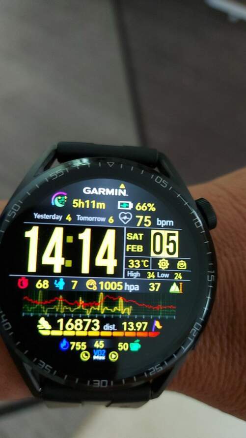 Garmin ported High quality watch face theme