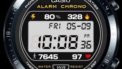 Casio ported LCD watch face theme