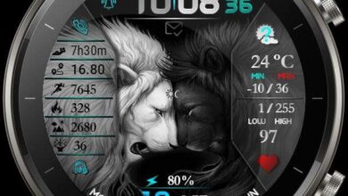 Roaring lion world digital watchface theme