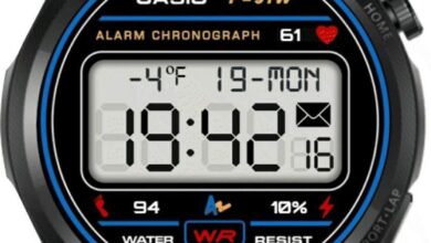 Casio ported LCD watch face theme