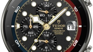 Tudor Geneve Chronograph realistic watch face theme