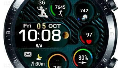 Circle of life digital watch face theme