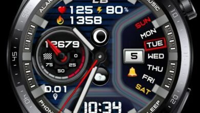 Dragon head hybrid watchface theme