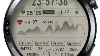 Heart rate zone amazing digital watch face theme