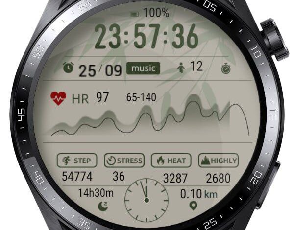 Heart rate zone amazing digital watch face theme