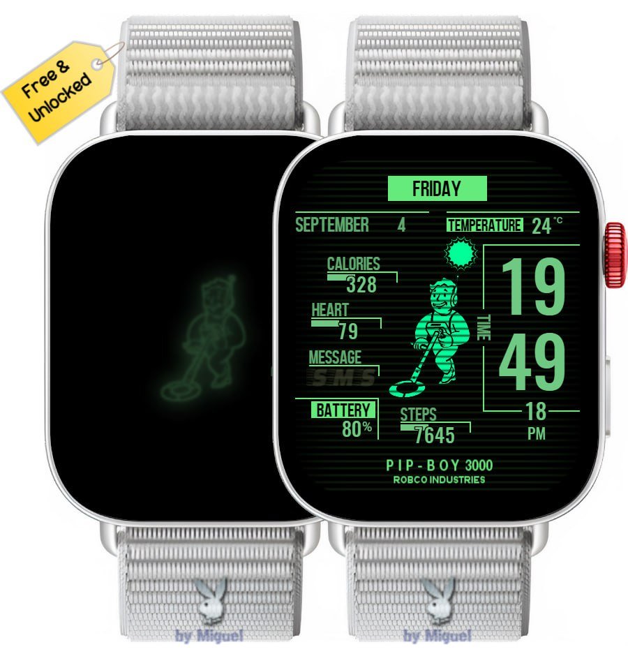 Pip boy beautiful watch face theme